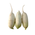 white-horseradish