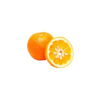 نارنج-1