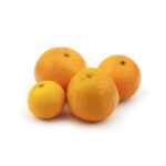 پرتقال تامسون-11