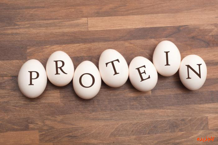 میزان پروتئین در روز-1